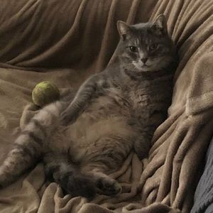 Meet your Posher, Heather